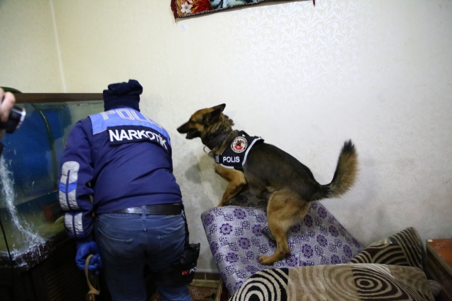 Narkotimler zehir tacirlerine nefes aldırmadı
