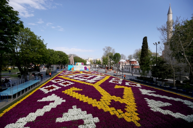 Sultanahmet'te 1453 metrekarelik 'lale halısı'
