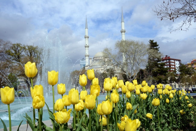 'Konya'da 'lale mevsimi' yaşanıyor'