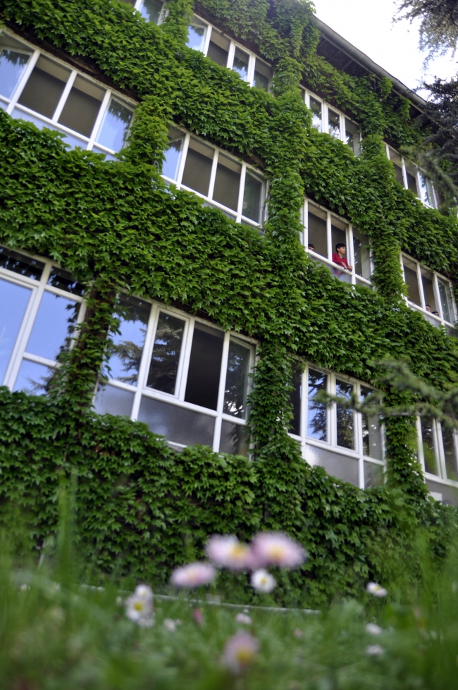 Doğanın "mantoladığı" okul