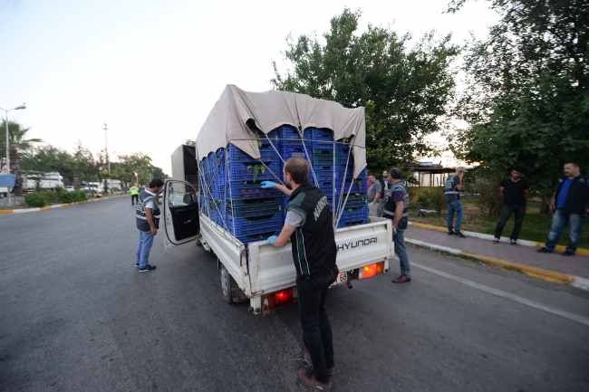 Sebze meyve halinde asayiş uygulaması