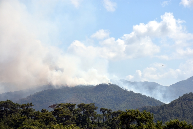 Marmaris'te orman yangını