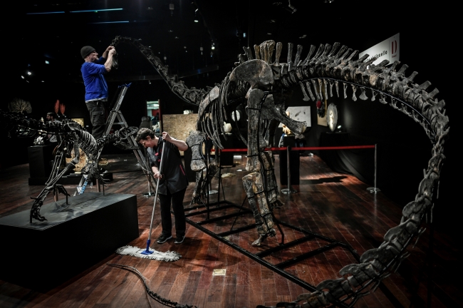 Dinozor iskeletleri müzayedede 3 milyon euro'ya satıldı