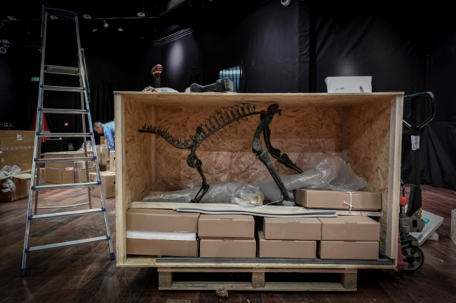 Dinozor iskeletleri müzayedede 3 milyon euro'ya satıldı