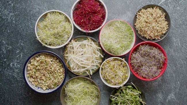 Kendisi küçük faydası büyük: Mikro yeşillikler