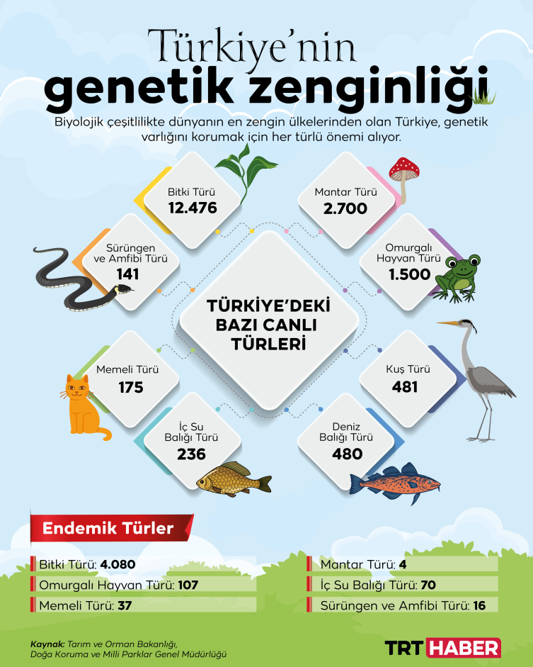 Türkiye’nin genetik hazinesi koruma altında