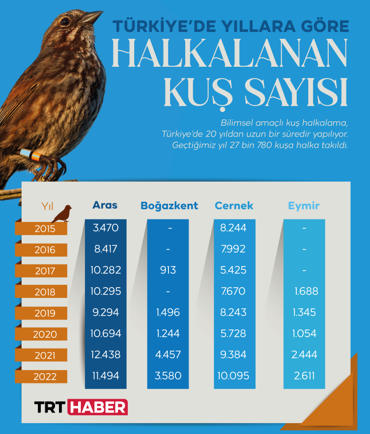 Kuşların yolculuğu halkayla takip ediliyor