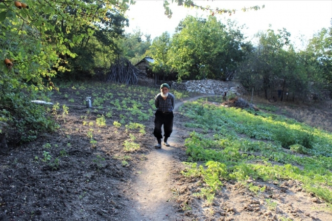 Ormandaki kulübesinde 30 yıldır tek başına yaşıyor