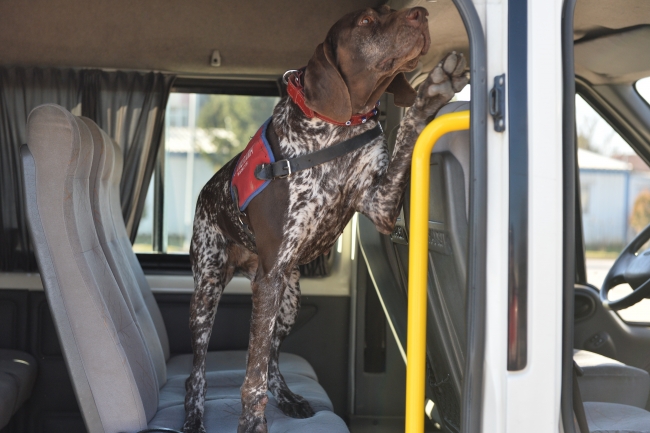 Terör ve uyuşturucuyla mücadelenin "keskin burunları"