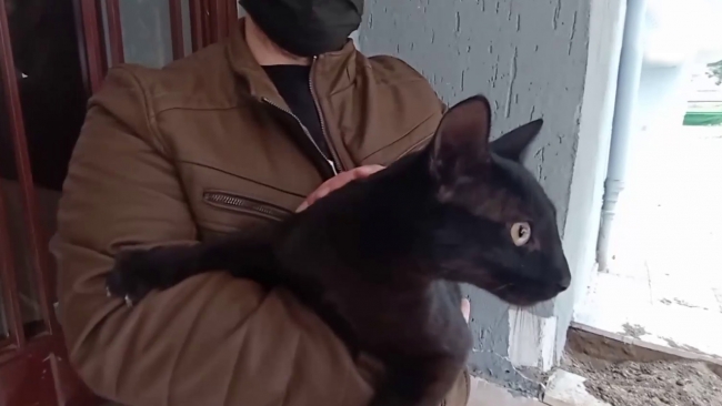 Bursa'da boş dairenin balkonuna düşen kediyi itfaiye kurtardı