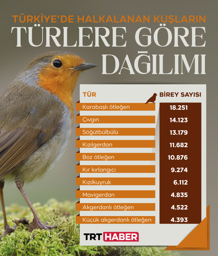 Kuşların yolculuğu halkayla takip ediliyor