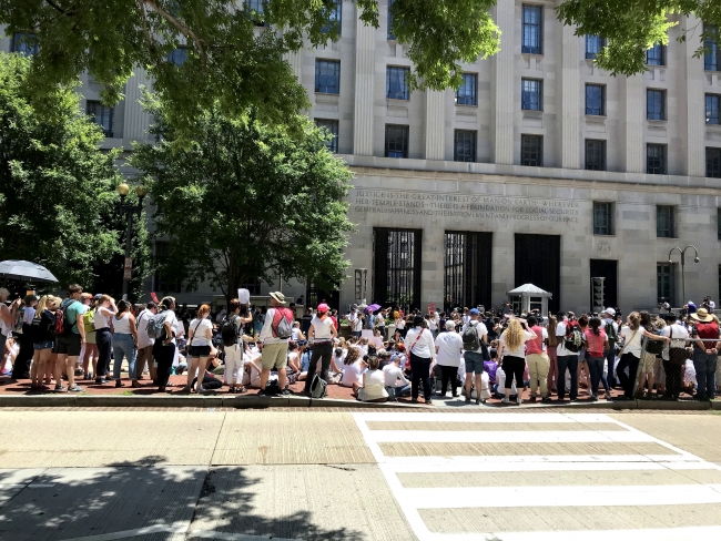 Sığınmacı dramını protesto eden 630 gösterici gözaltında