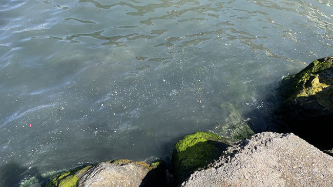 İstanbul'un derelerinde kirlilik akıyor