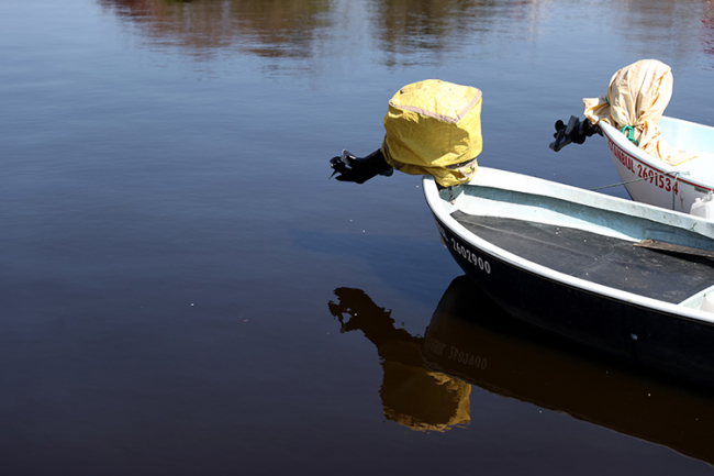İstanbul'un derelerinde kirlilik akıyor