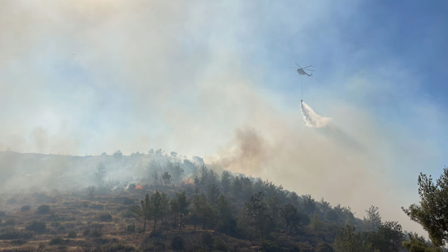 Mersin'de orman yangını yerleşim yerlerini tehdit ediyor: 30 ev boşaltıldı