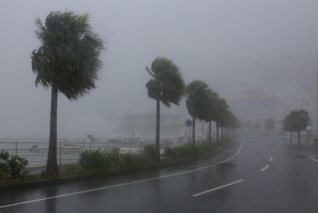 Japonya'yı tayfun ABD'yi kasırga vurdu