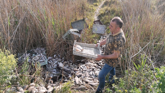 Kaçak avlanan 1 ton balığı piknik alanına bıraktılar
