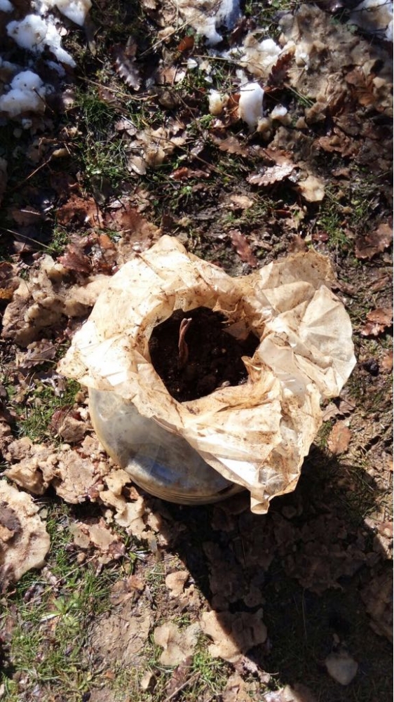 Bitlis'te terör operasyonu