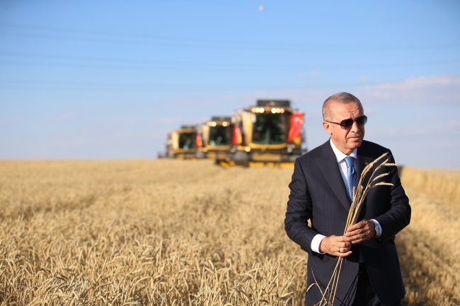 Cumhurbaşkanı Erdoğan biçerdöverle hasat yaptı