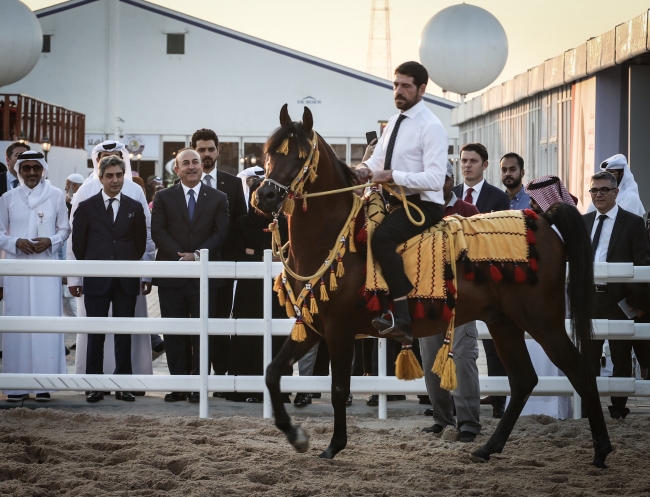 Dışişleri Bakanı Çavuşoğlu'ndan Doha'da diplomasi trafiği