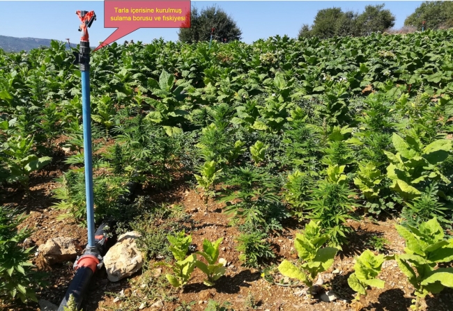 Diyarbakır'da PKK'nın finans kaynağına operasyon