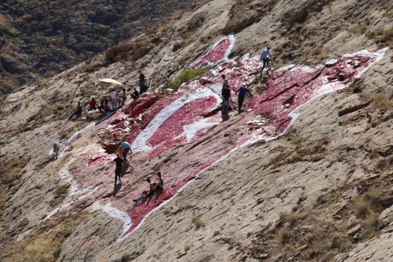 Türkiye'nin en büyük kaya haritası 15 Temmuz şehitleri için boyandı