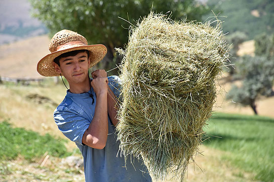 Çobanlıktan Amerikan Kolejine uzanan başarı