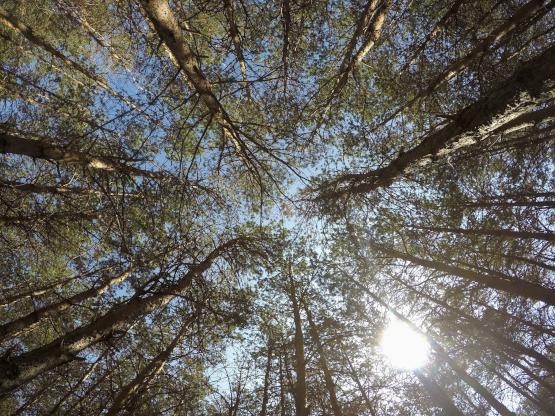 Rayların yanındaki 'Yeşil vadi' ziyaretçilerini bekliyor