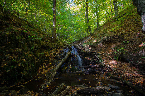 Domaniç Dağları sonbaharın renklerine büründü