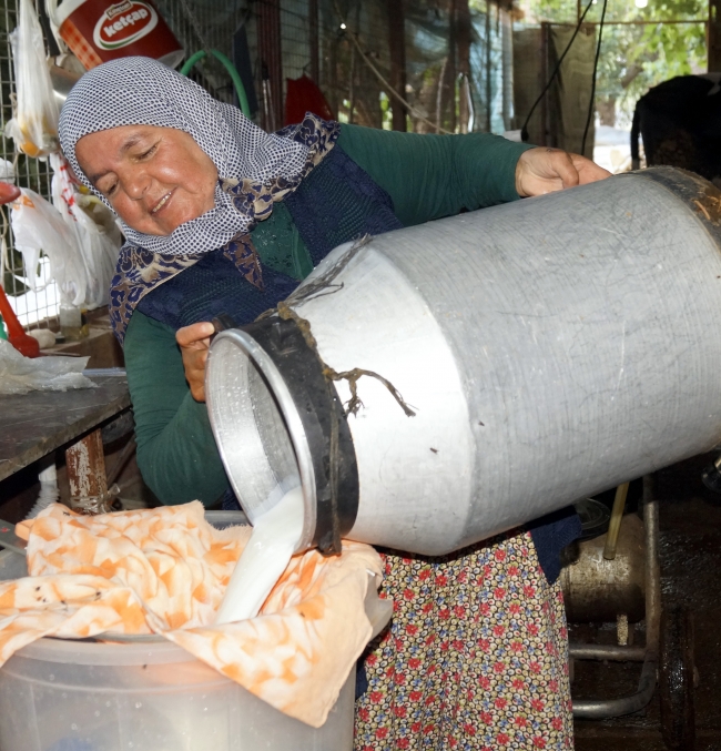 Finike'nin her köşesine motosikletiyle süt dağıtıyor