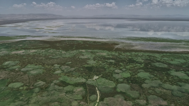 Yağışlar Akşehir Gölü'ne can suyu oldu
