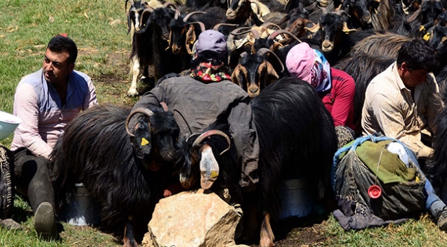 Göçerler bayramı yaylalarda geçiriyor