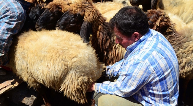 Göçerler bayramı yaylalarda geçiriyor