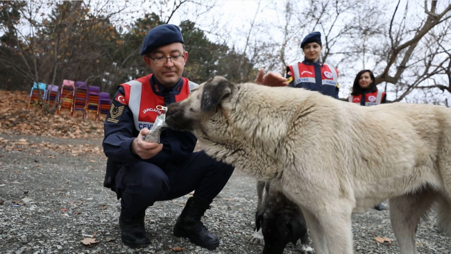 HAYDİ ile 27 bin 758 ihbara anında müdahale