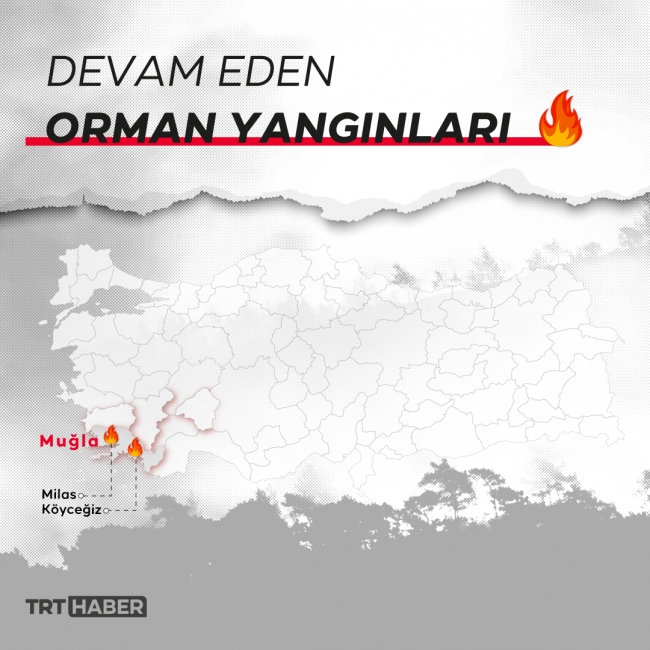 Bakan Pakdemirli: Ormanlarımız yeniden küllerinden doğacak