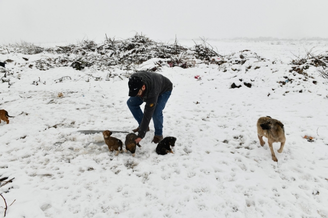 Bursa'da yavru köpekler donmaktan kurtarıldı