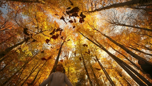Anadolu'da sonbahar renkleri