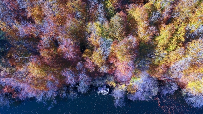 Anadolu'da sonbahar renkleri