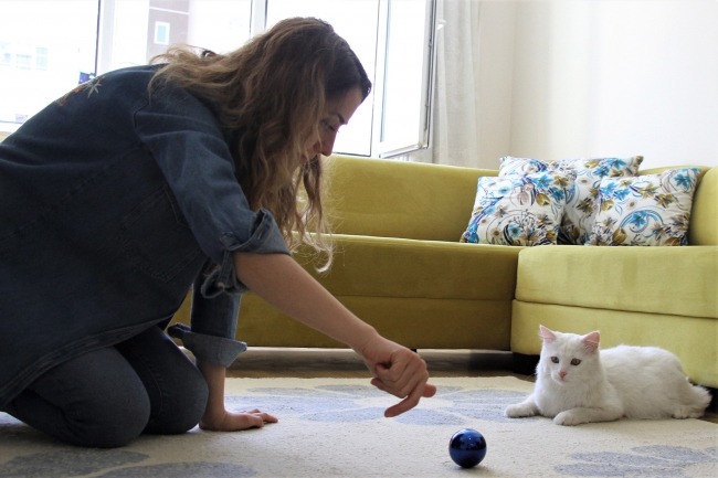 Van'ın en güzel kedisine evladı gibi bakıyor