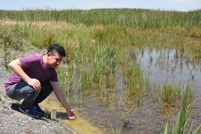 Yağışlar Akşehir Gölü'ne can suyu oldu