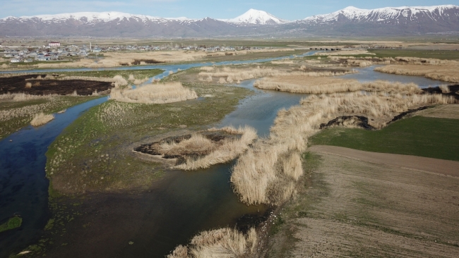 Fotoğraf: TRT Haber