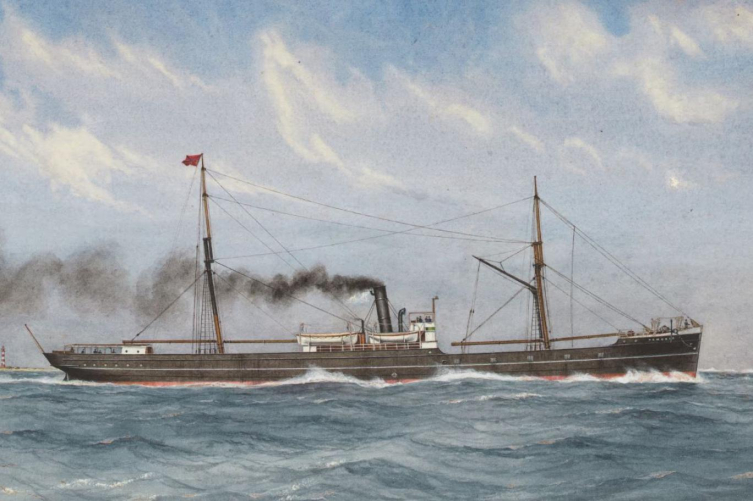 Nemesis'in batmadan önce yapılan bir çizimi (CSIRO)