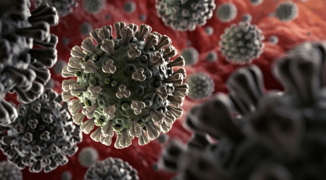 Koronavirüs ile ilgili merak edilenleri siz sordunuz uzmanlar yanıtladı