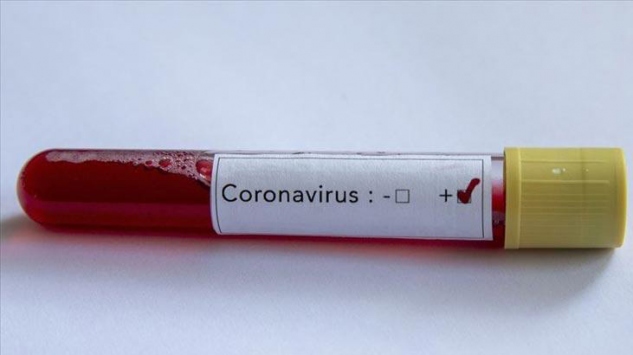 Koronavirüs ile ilgili merak edilenleri siz sordunuz uzmanlar yanıtladı