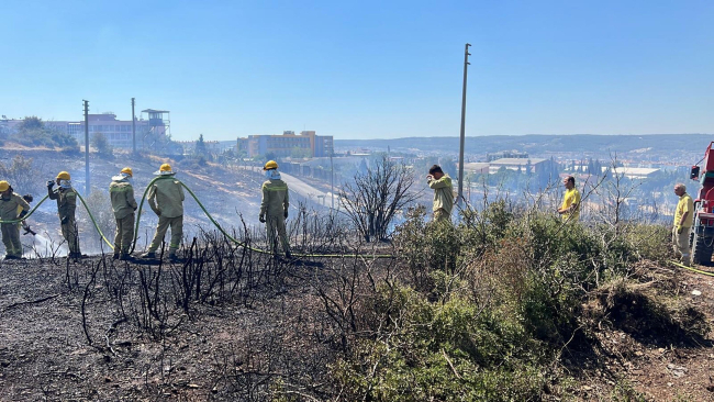 İzmir'de iki ayrı noktada orman yangını: Havadan ve karadan müdahale ediliyor