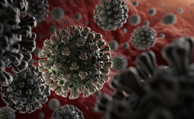 Dünyayı saran koronavirüs salgınında son durum