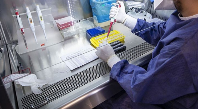 Amerika'da uçuş öncesi test zorunluluğu yaygınlaşıyor