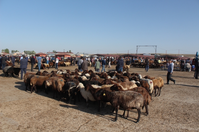 Kurban pazarlarında yoğunluk arttı