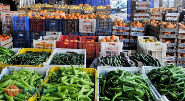 Doğu Karadeniz'den Rusya'ya ihracattaki artış, yüz güldürüyor