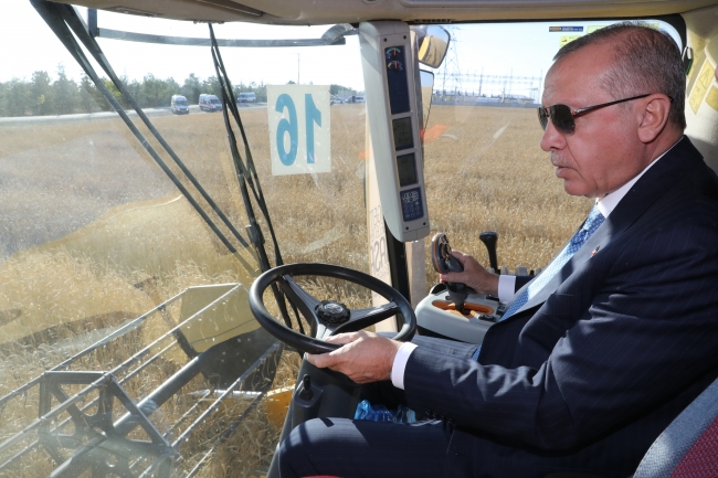 Cumhurbaşkanı Erdoğan biçerdöverle hasat yaptı